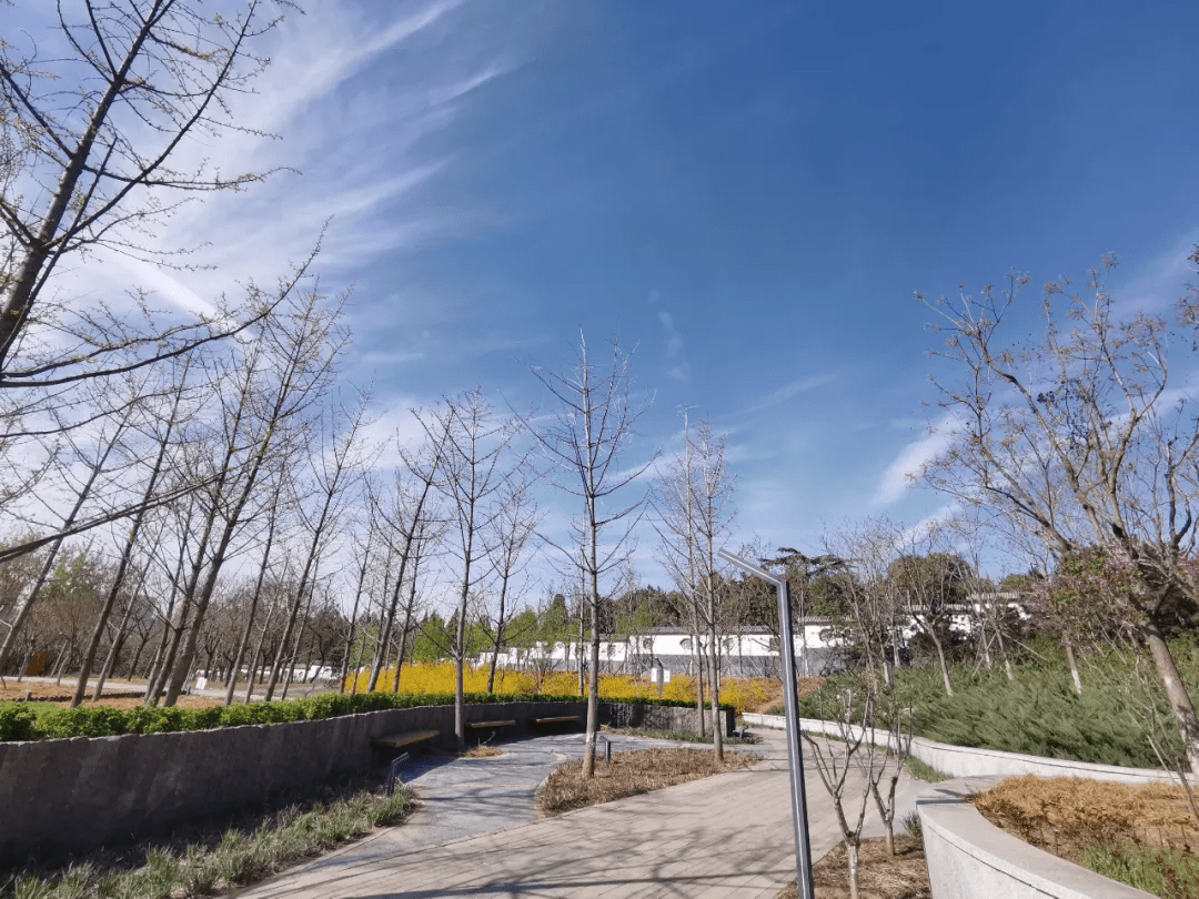 幽然小徑,繁花盛開,石景山郊野新天地等你來!_公園