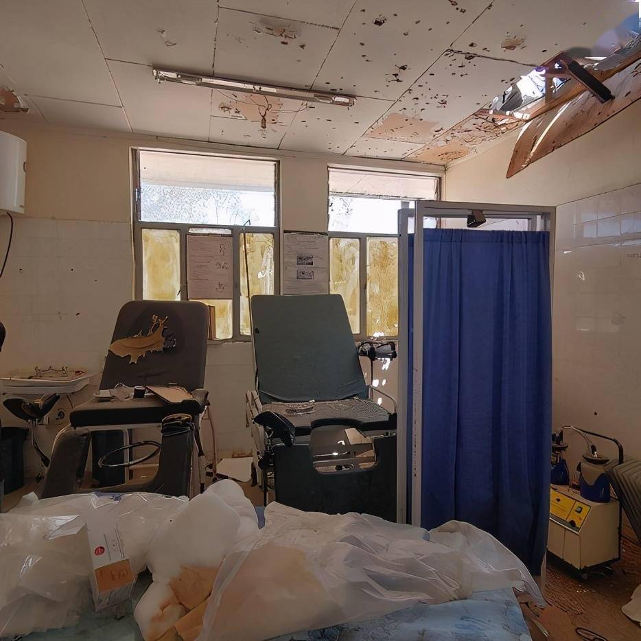 "重病患者数天才找到办法前往医院,有些人坐着驴车到医院"——我经历