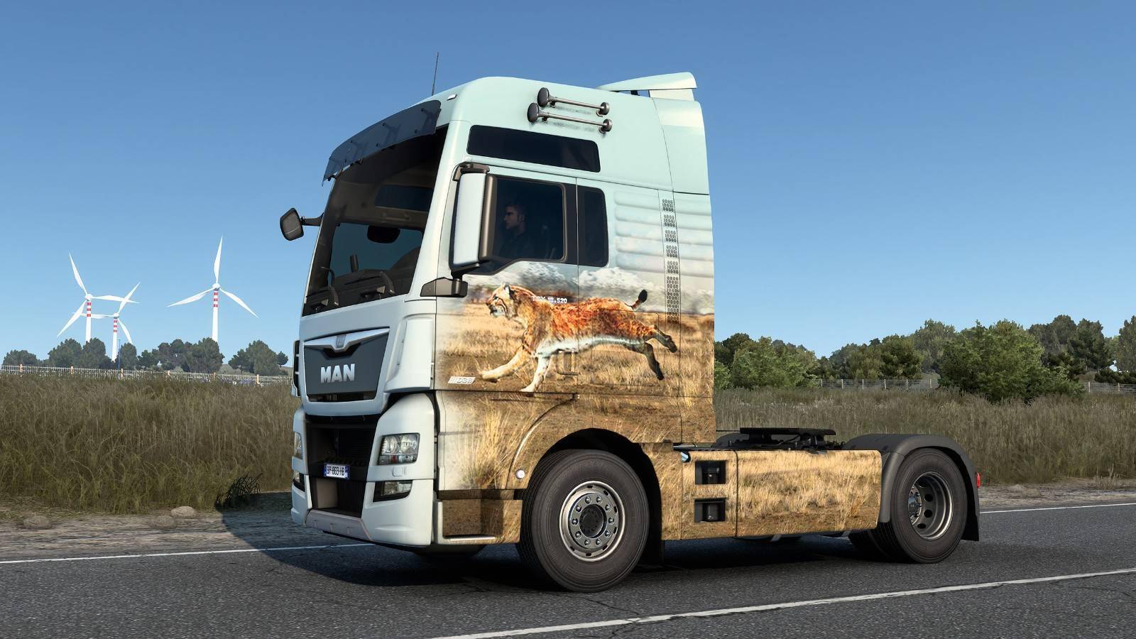 世界卡车模拟皮肤图片