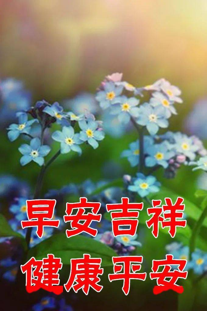 最漂亮早上好动态表情图片大全早晨好动图美图大全