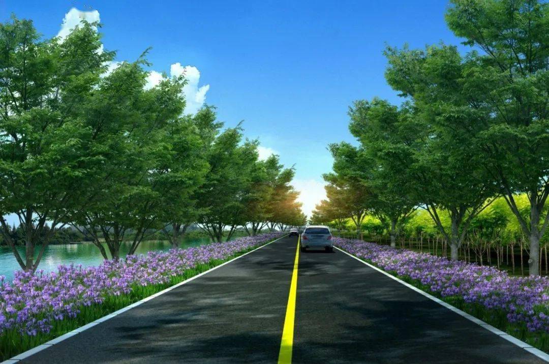 全长约9公里;林间体验路效果图(图源天津广播)穿越其中的古海岸廊道林