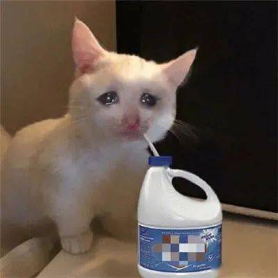 悲伤猫猫头表情包