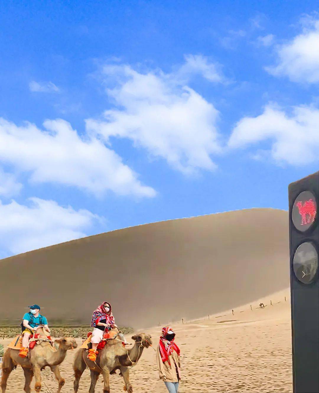 鸣沙山景区为骆驼设置红绿灯，网友：别人堵车，我们堵骆驼！