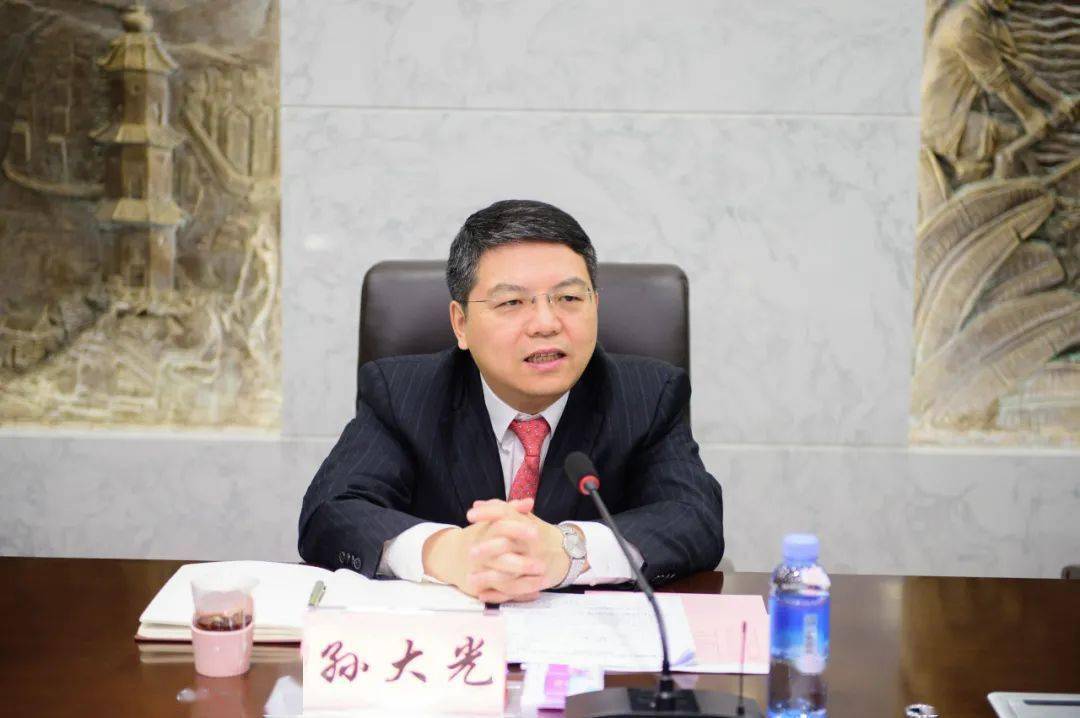 孙大光分别参加隆安县代表团青秀区代表团审议