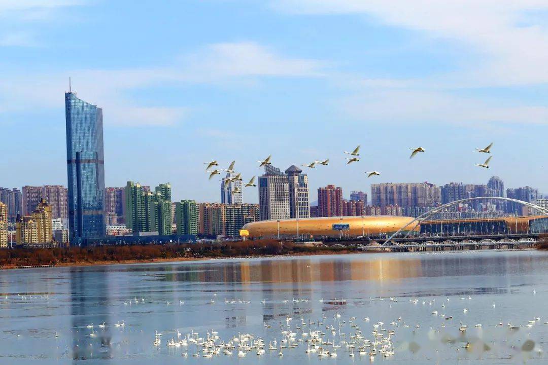 三门峡:文明城市 共建共享