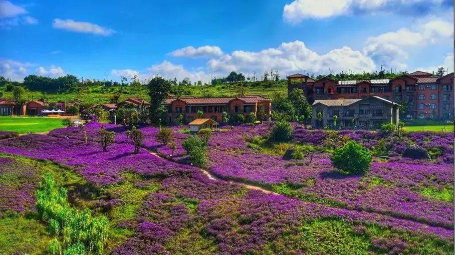 春城秀花乡水城宜居宜良大美风光待你寻