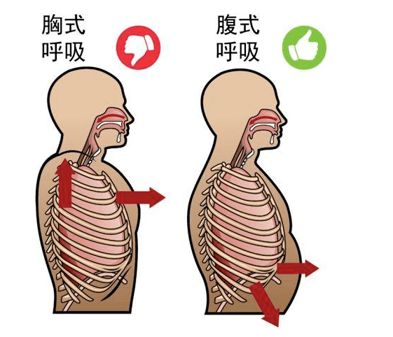 呼吸的过程动漫图片