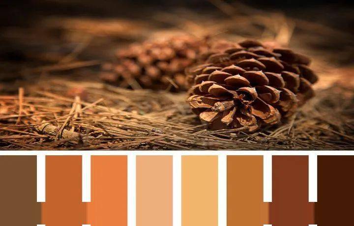 伦敦时装周20212022秋冬十大流行色