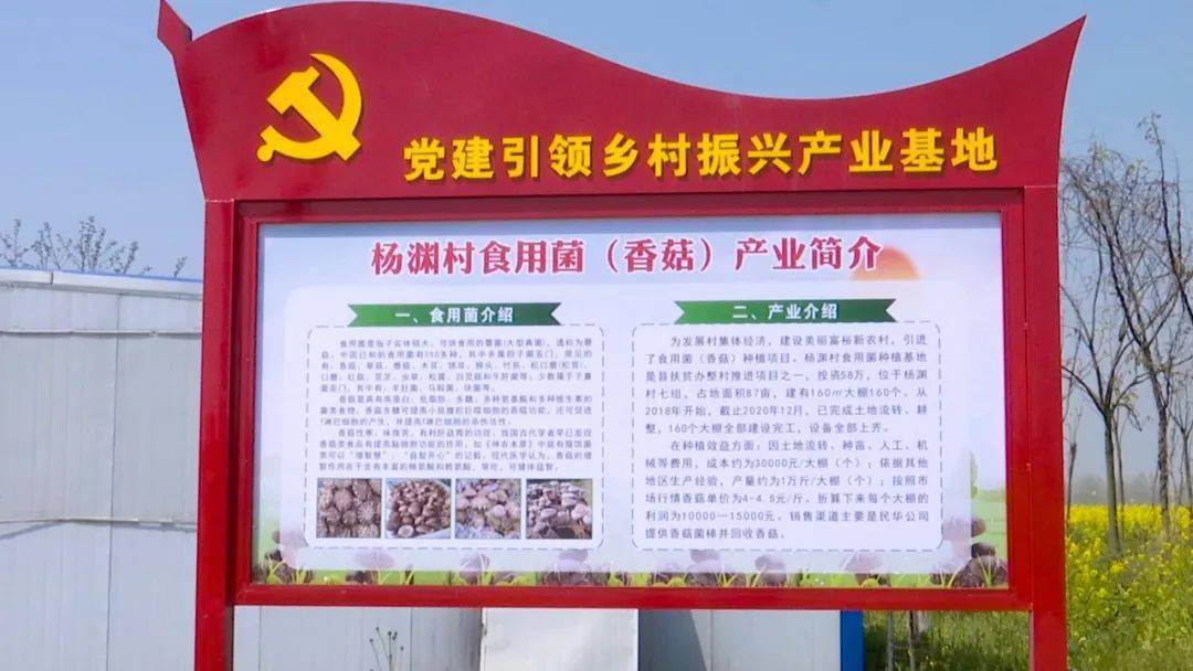 走进村级集体经济发展示范村丨从单一到多元化模式发展,这个村增收28.