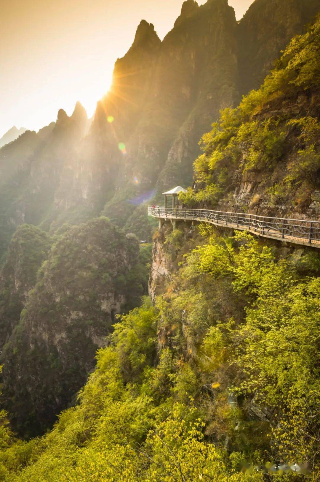 清风缕缕,满园春色,在十渡东湖港遇见最美的春天