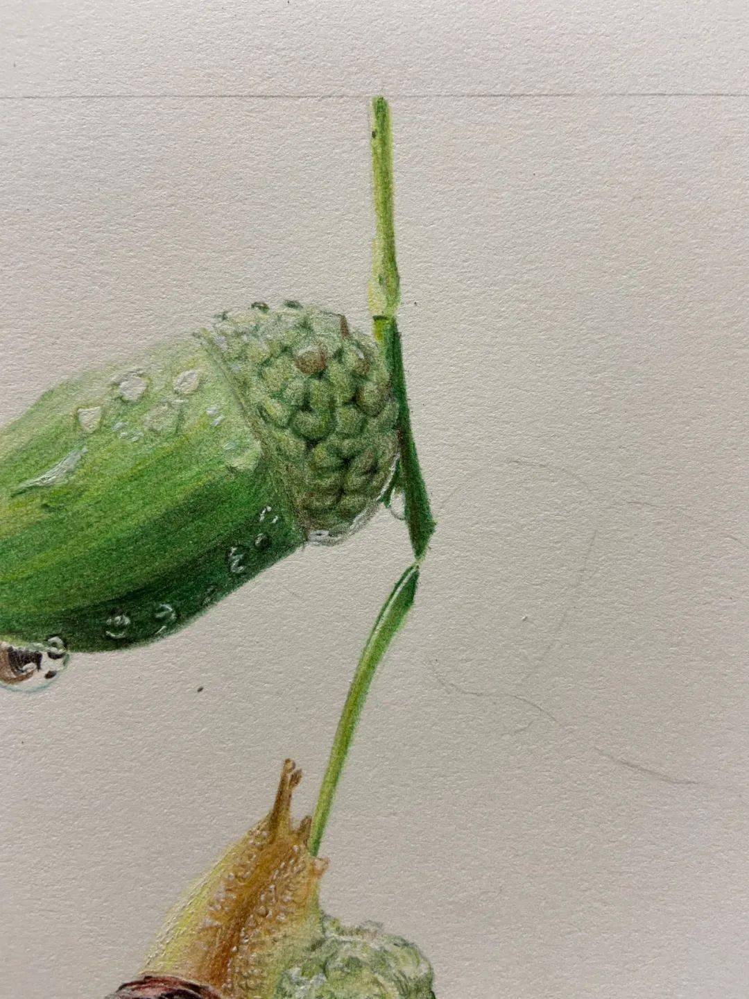 24节气彩铅画图文教程 | 谷雨_果子