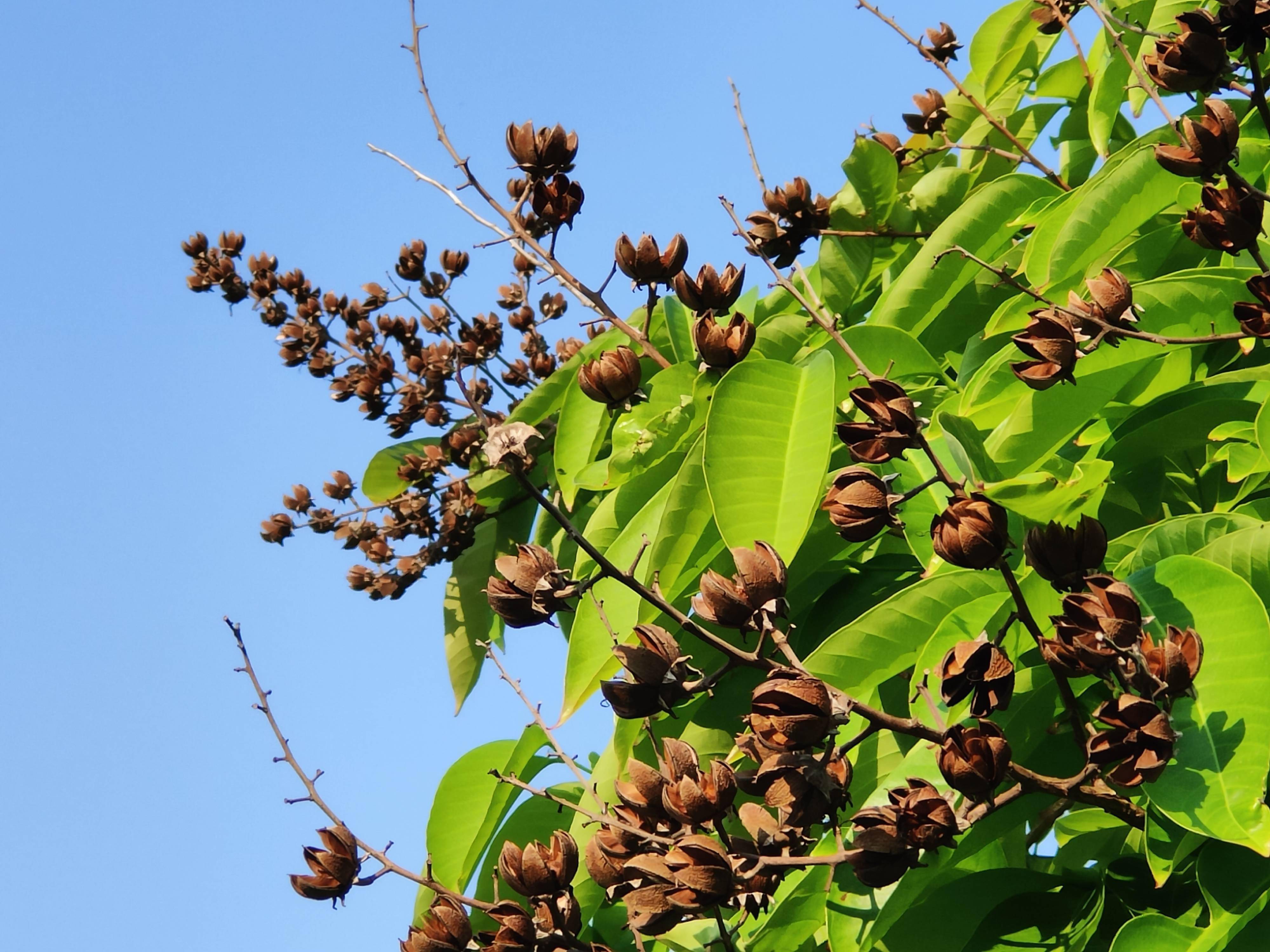 让子弹飞一会儿一个月后再谈oppofindx3pro