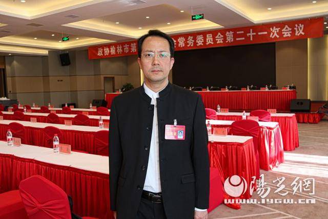 刘瑞平:建议发展榆林市"煤化艺术品(实用品)"