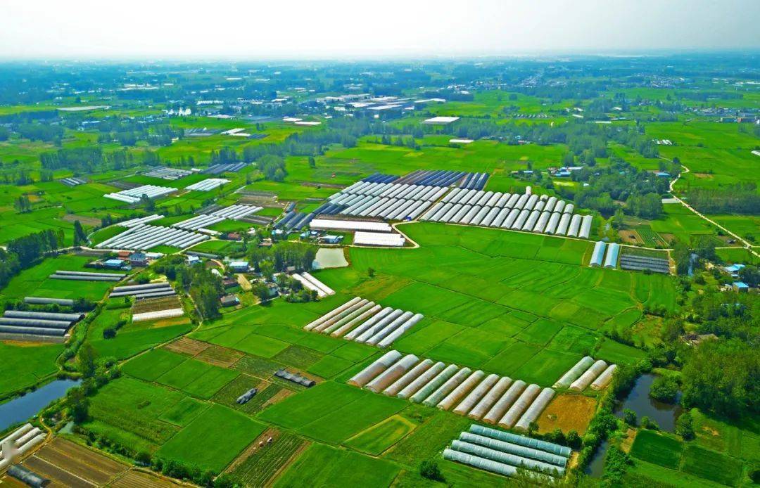淮南市决战决胜脱贫攻坚战纪实⑨田家庵区篇