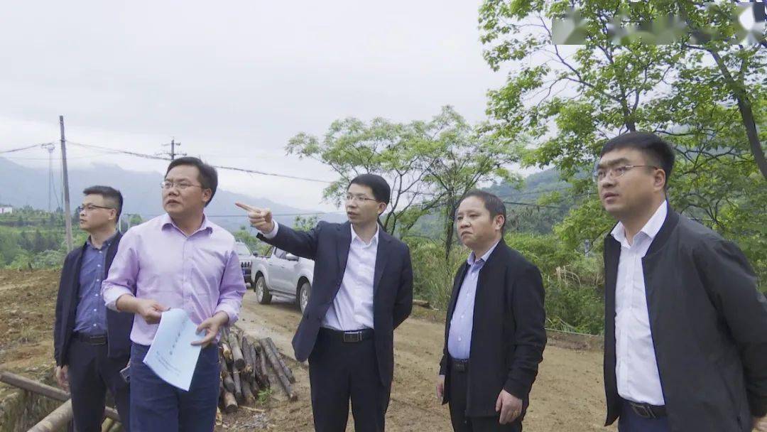 潘金城对矿山修复治理工作进行调研督导_崇义