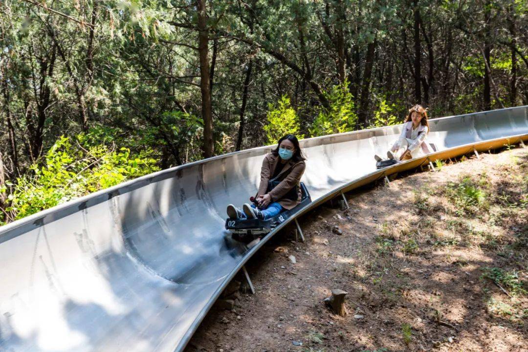 千佛山相亲大会今日开幕!最新现场资讯来了,网友:请假也得去!