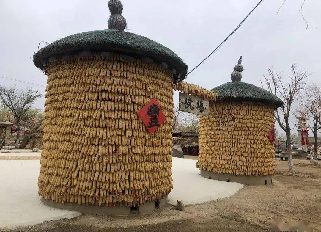 走进我们的东北大院,就走进了东北人的生活.