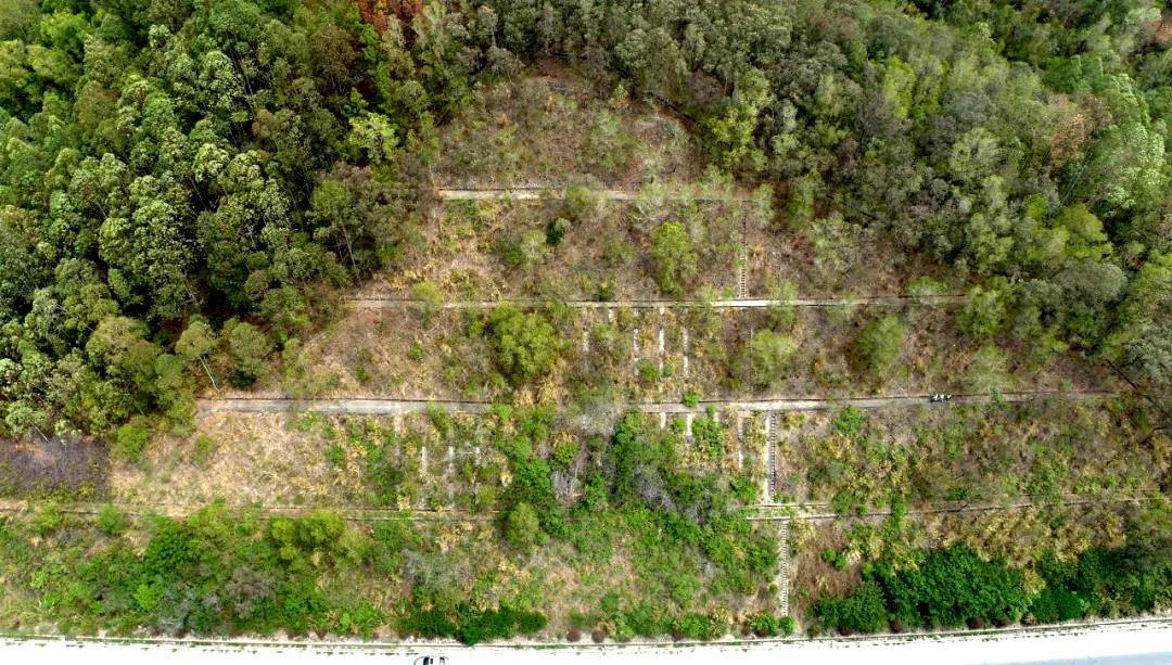 广惠高速对沿线高边坡进行升级整治