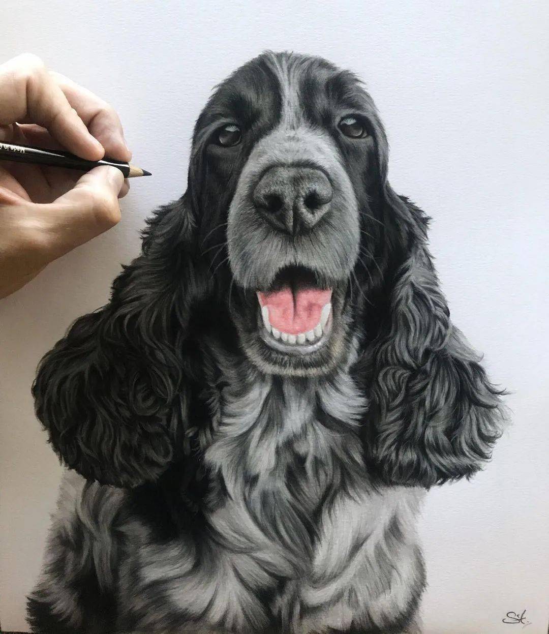 彩铅狗狗手绘 好写实啊_基础