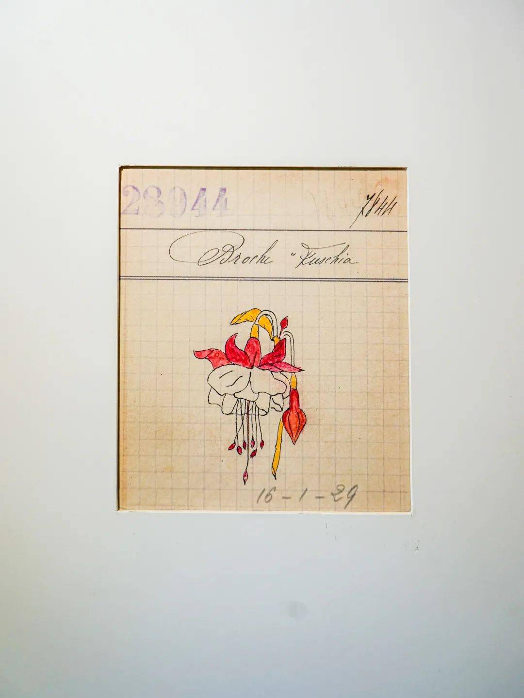 ����ű�����֮��԰���ս�����Frivoleϵ�������ݻ�������