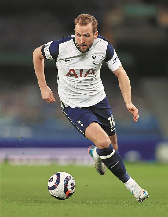 凯恩独木不成林