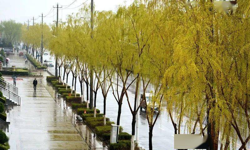 天水南北景观大道图片