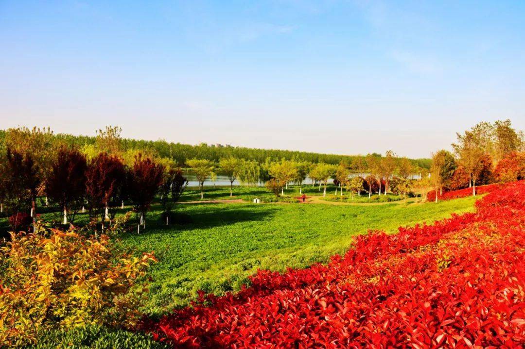 安徽泗县:水韵泗州生态美 芳菲四月入画屏_文化