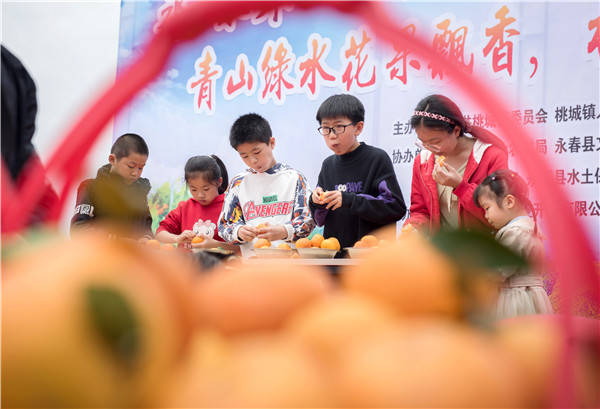 福建省永春县举办夏季柑橘采摘旅游节活动
