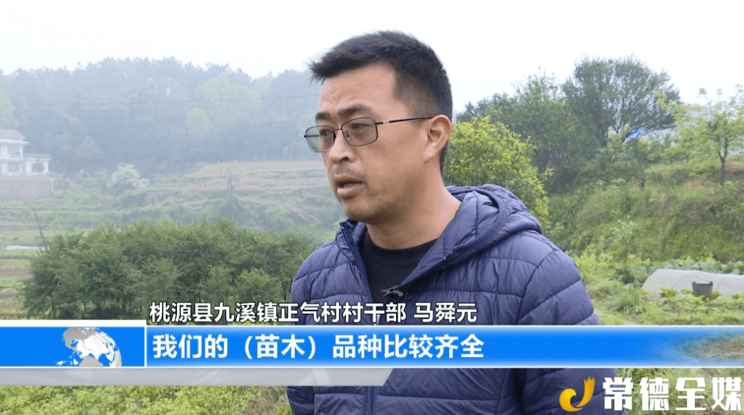 2020苗木价格表