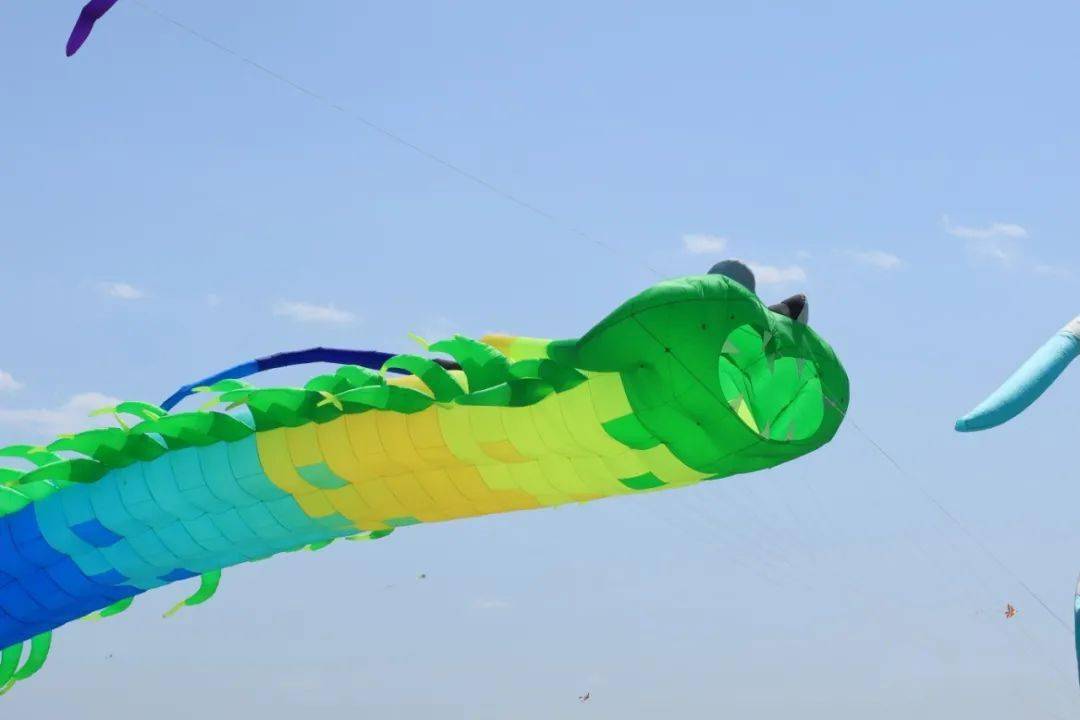 小蝴蝶,小蜜蜂……大家印象中端庄轻盈的这里的风筝不再是风筝可以做