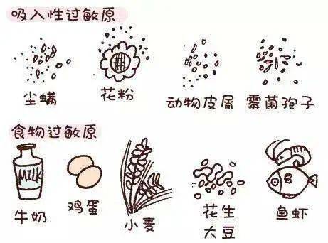 婴幼儿春季过敏预防