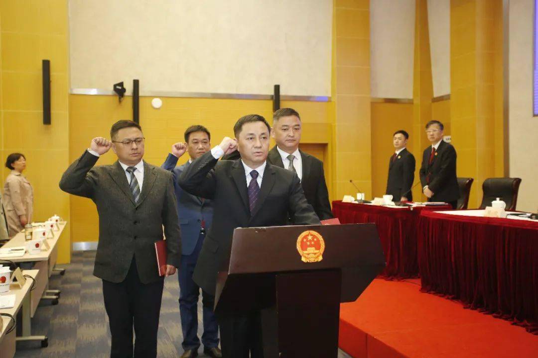 副区长,公安金山分局局长张玉学等国家机关工作人员进行了宪法宣誓