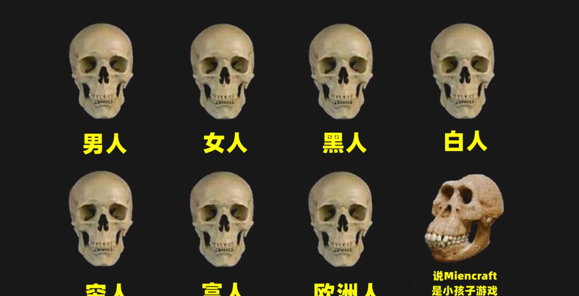 我的世界 为何玩家如此反感 迷你 老mc 抄袭 的理直气壮 游戏