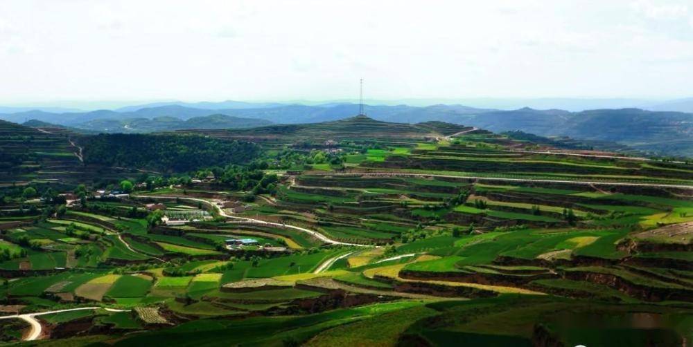 甘肃庄浪春日的梯田格外绚丽迷人