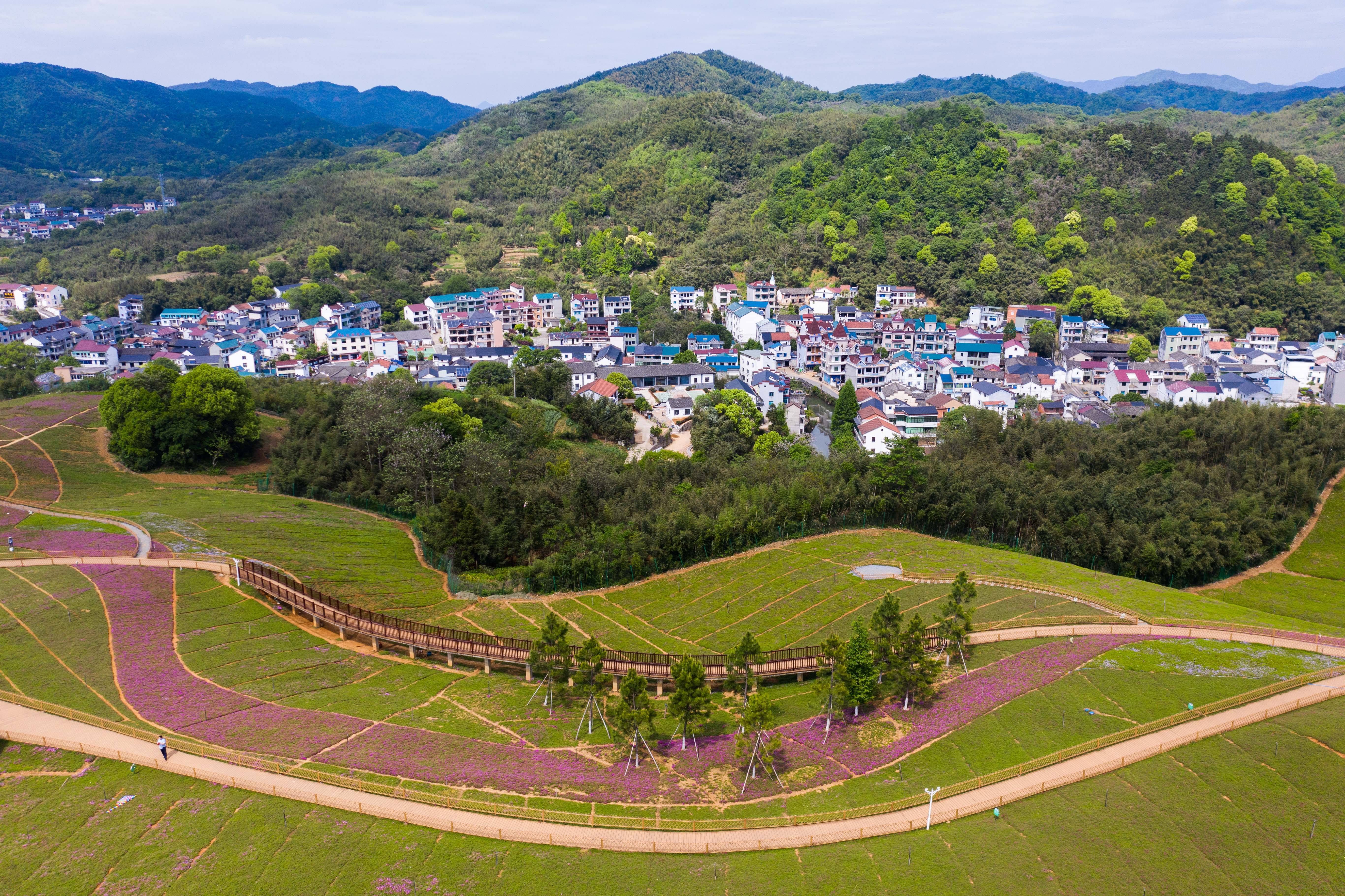 诸暨丽坞底村图片