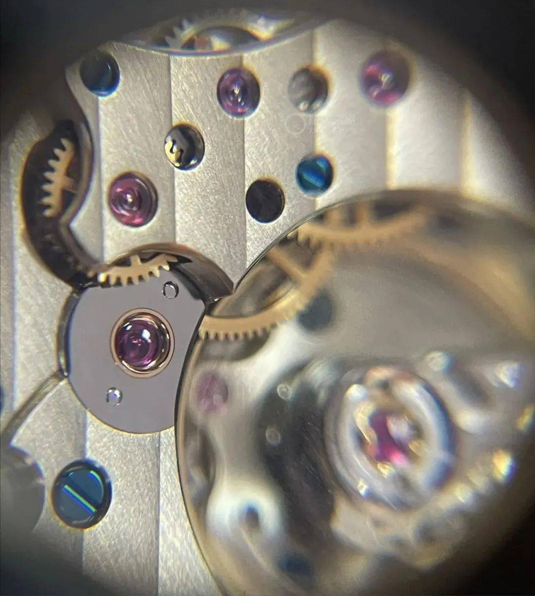 �ʸ����������롪�������ᱳ���ϸ���붯̬