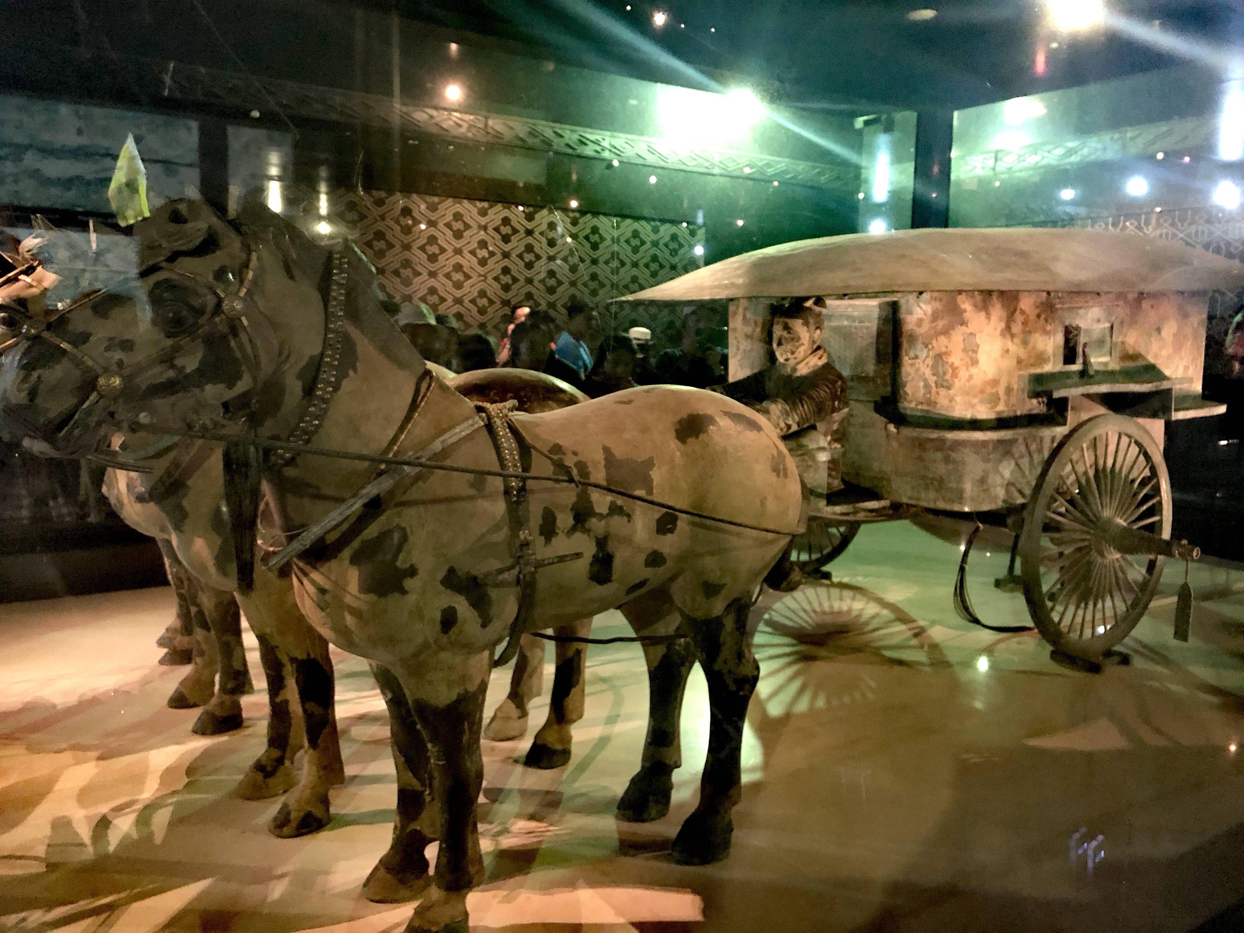 岱庙资讯-文博快讯-秦始皇帝陵铜车马博物馆将于5月18日试开放