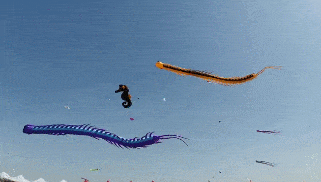 653_370gif 动态图 动图