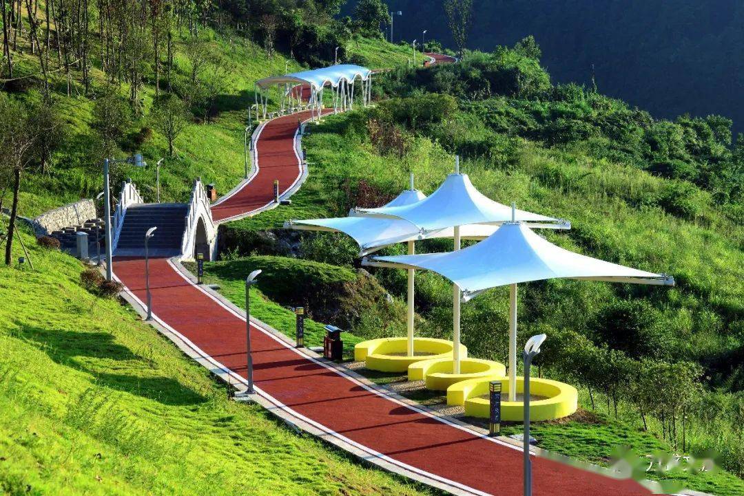 报名开启2021总裁绿道61万盛云端花海马拉松来啦