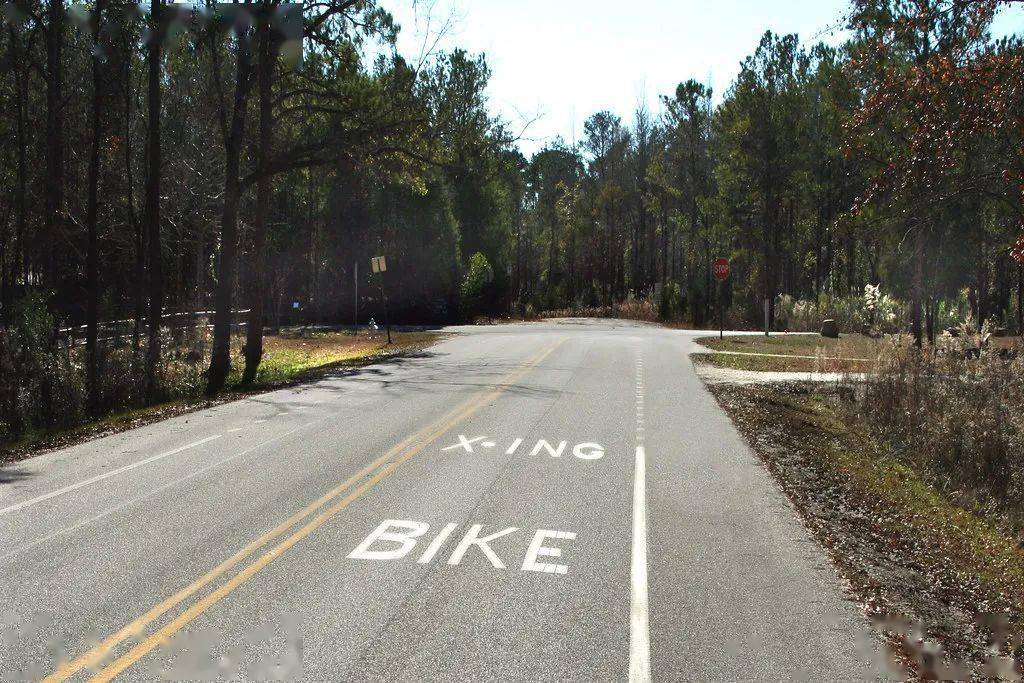 外国斑马线上的xing是什么意思千万别当成拼音