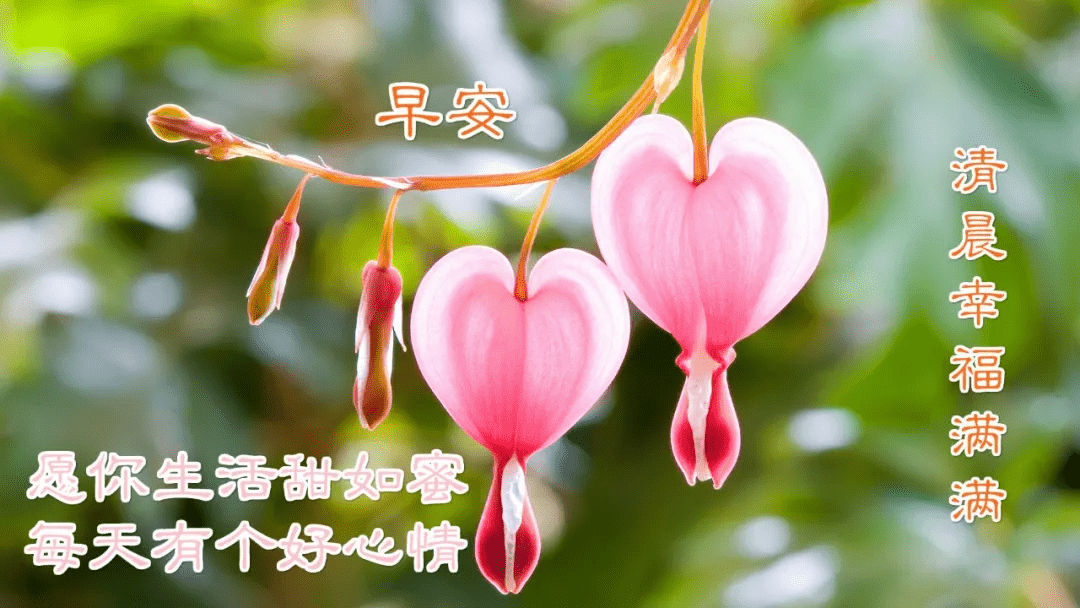 654d6fe583fc468dbc2a10180c4ee9b6.png