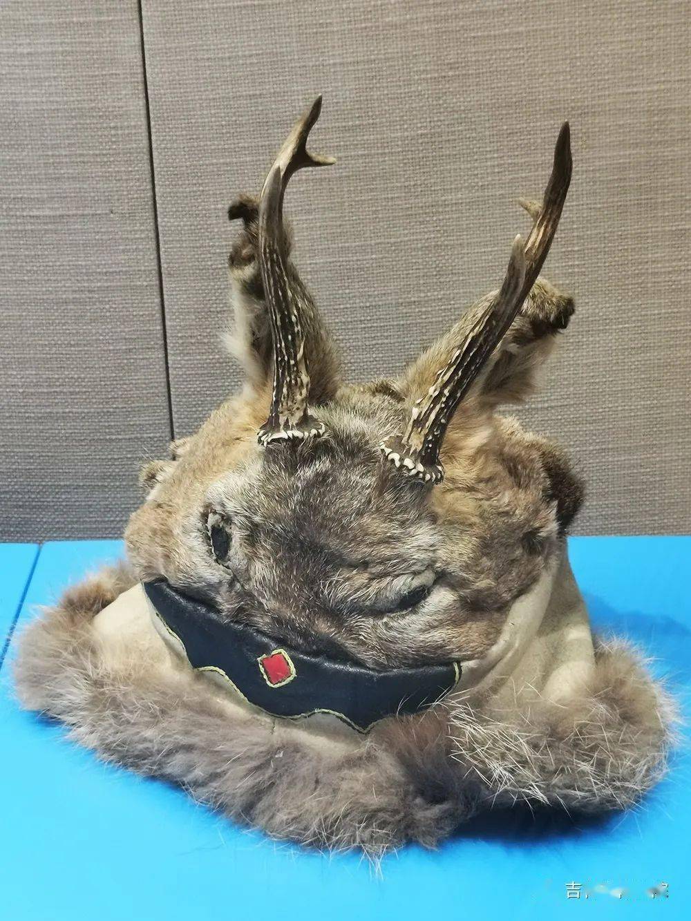 原来东北的三皮文化是它们