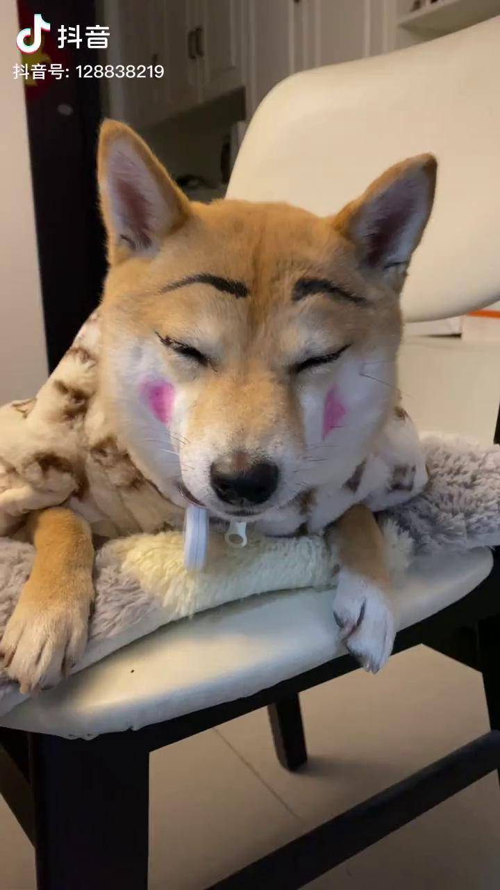 跨年对不起啊麻麻给你化妆化残了你今晚别出去找小公狗跨年了吧