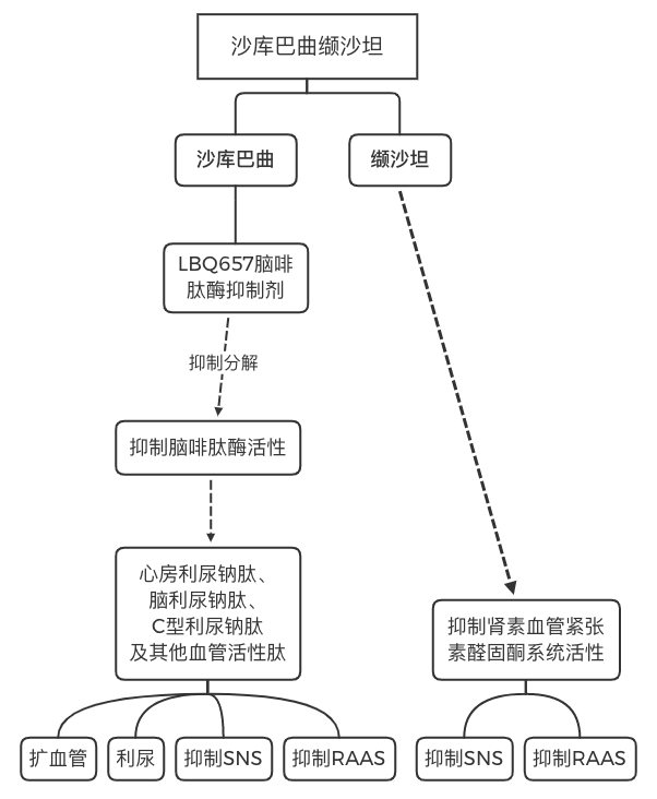 该品与其他降压药的作用机制对比如图