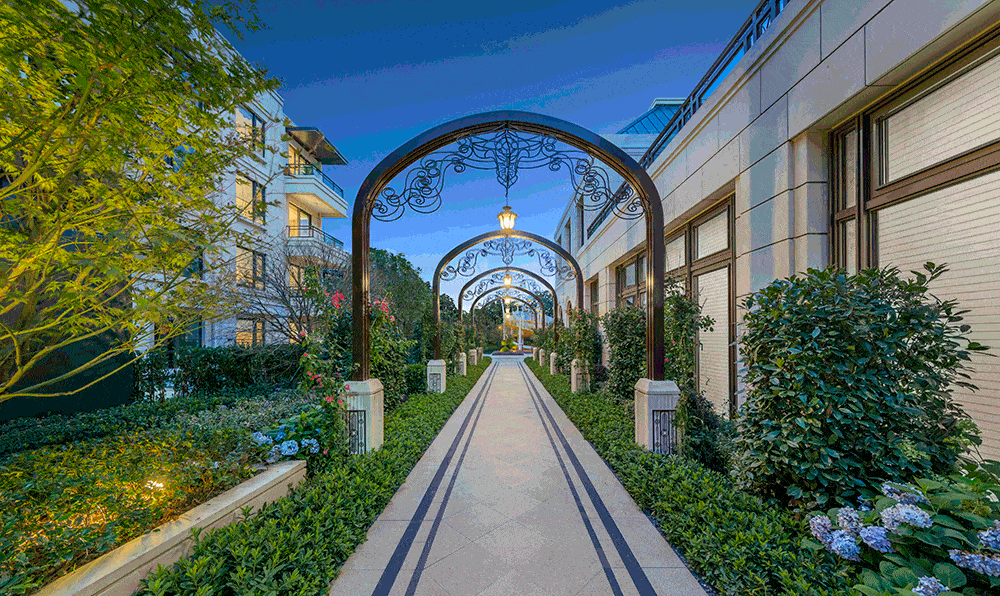 此后金山,再无铂翠廷!