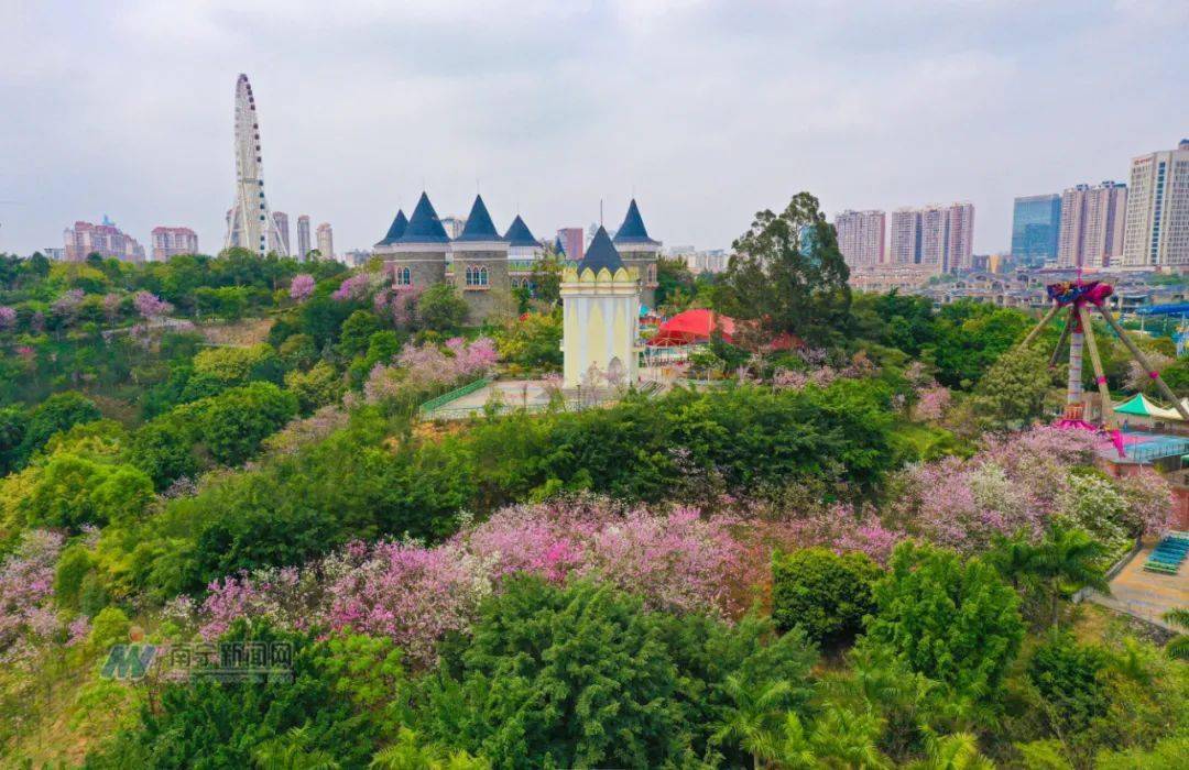 金湖县人均_金湖县地图(3)