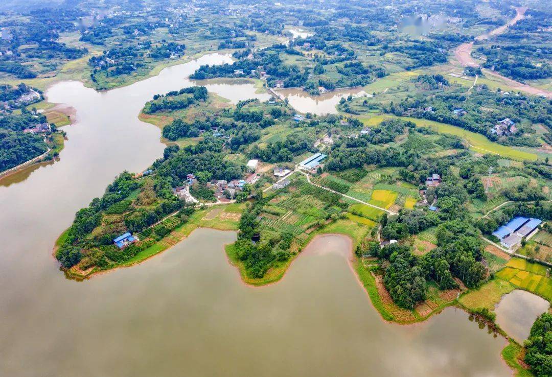 贵平观寺学校向新区名校的目标迈进