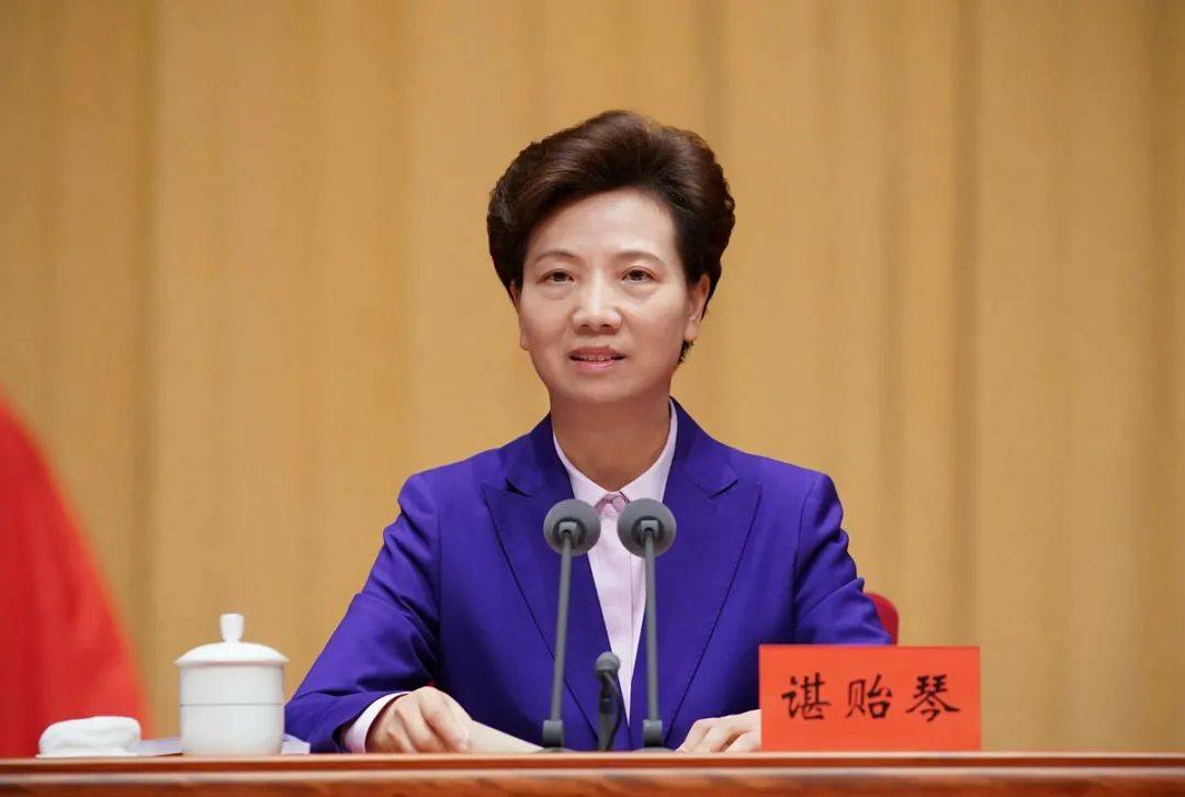 图为省委书记,省人大常委会主任谌贻琴讲话.