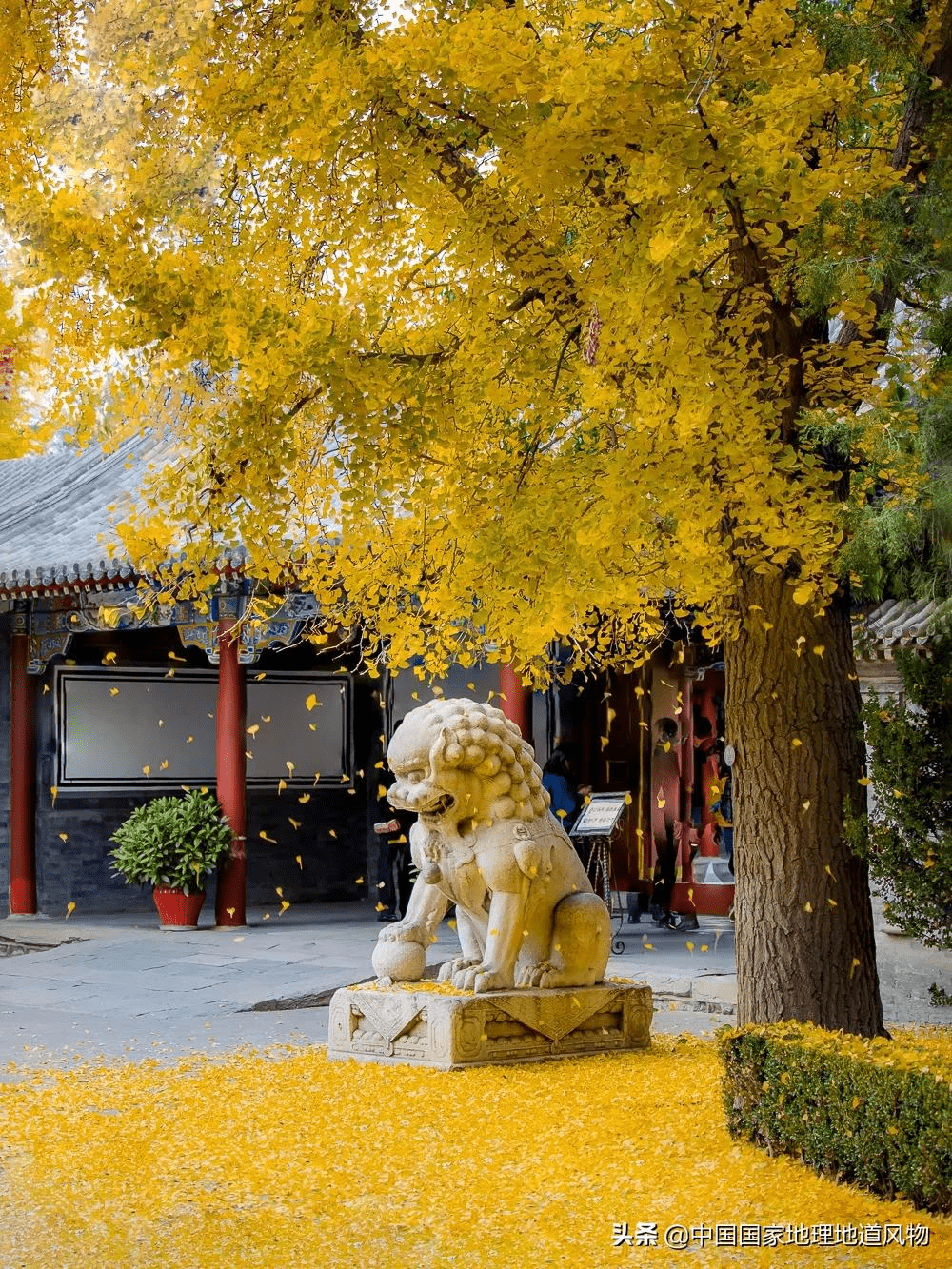 清华大学神奇校园在这里