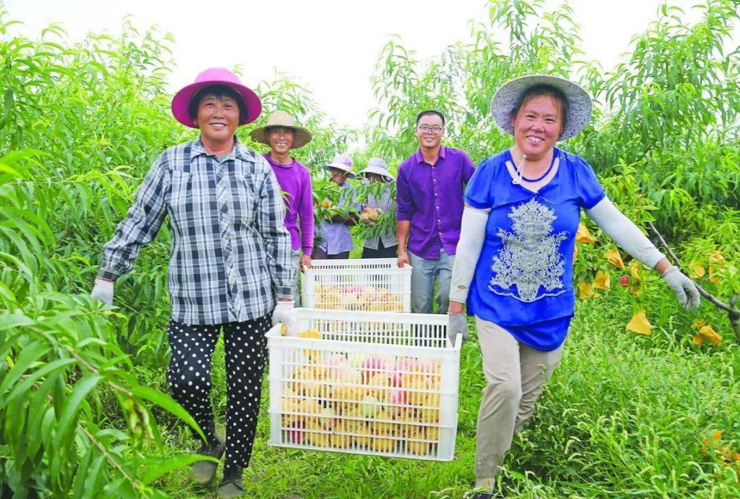 淮南市决战决胜脱贫攻坚战纪实金融扶贫篇